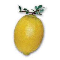 Jumbo Plastic Lemon